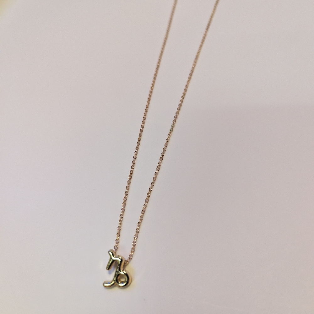 Zodiac Capricorn Sign Fashion Necklace - Picture 3 of 8